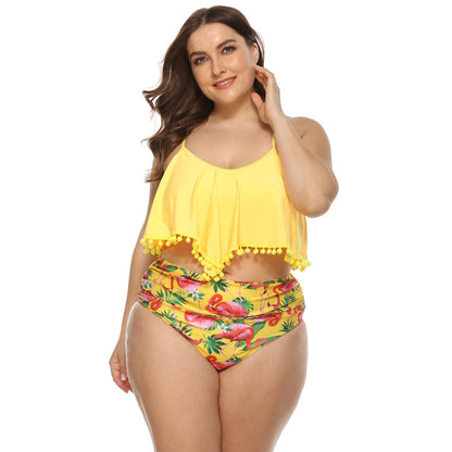 Curvy Plus Size Bikini