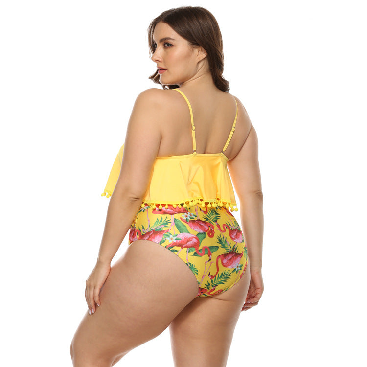 Curvy Plus Size Bikini